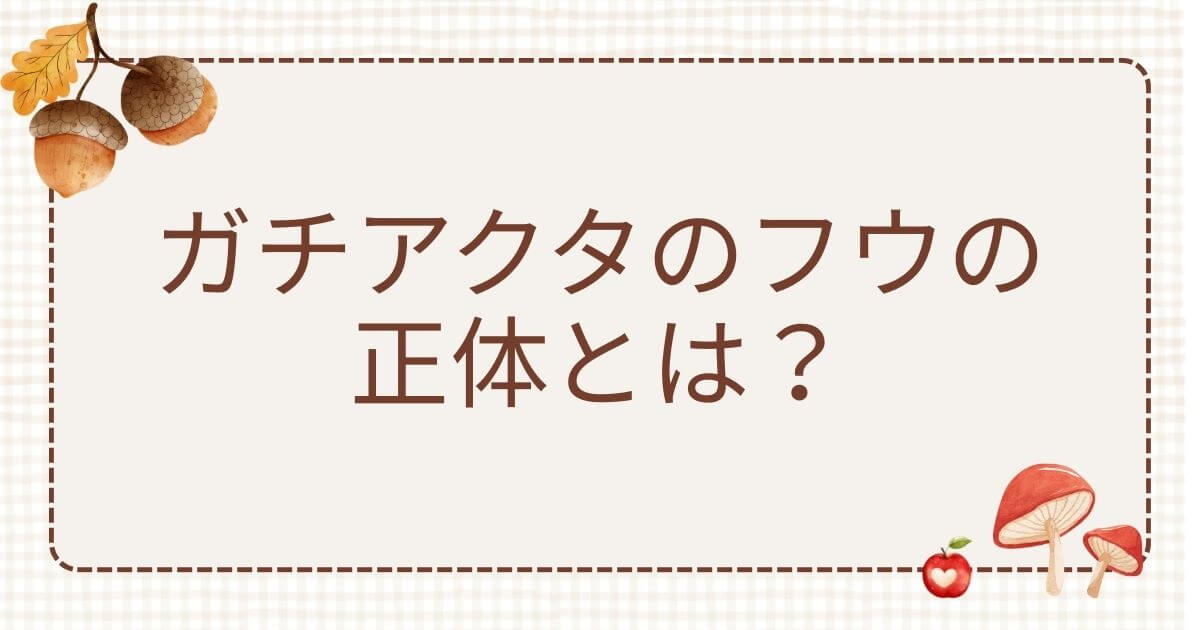 ガチアクタ フウ